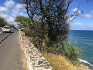 ハワイおすすめジョギングコース | ダイアモンドヘッドコース