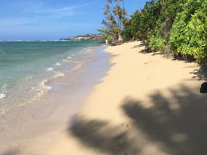 ハワイおすすめジョギングコース | 裸足でカハラビーチコース