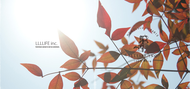 懐かしいウェブサイトたち