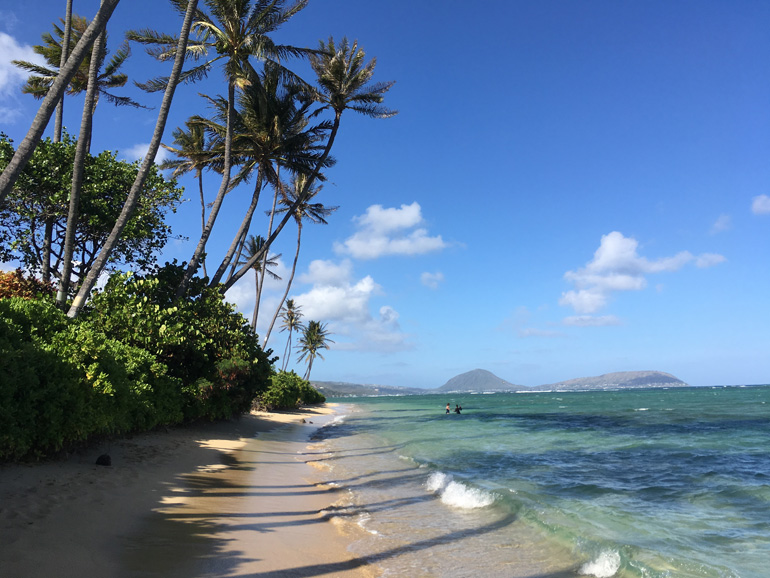 ハワイおすすめジョギングコース | 裸足でカハラビーチコース