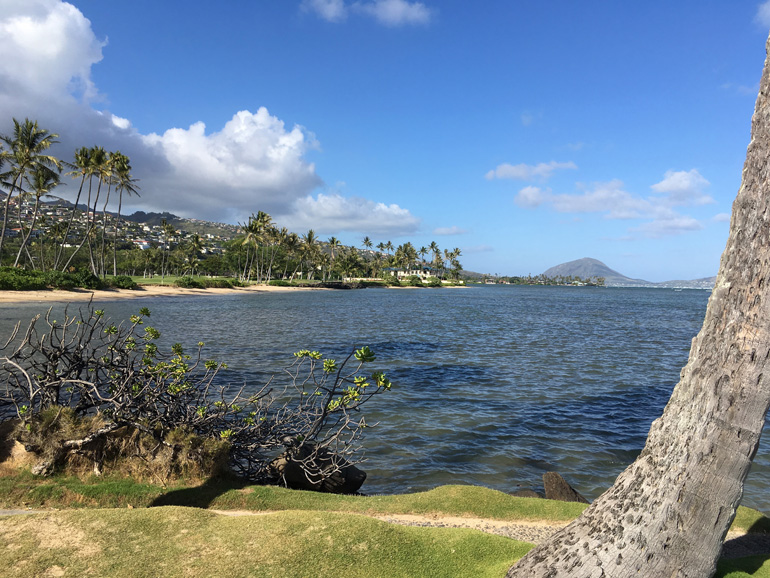 ハワイおすすめジョギングコース | 裸足でカハラビーチコース