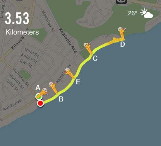ハワイおすすめジョギングコース | 裸足でカハラビーチコース