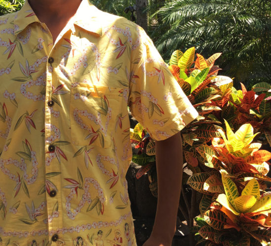 パタロハ | Pataloha