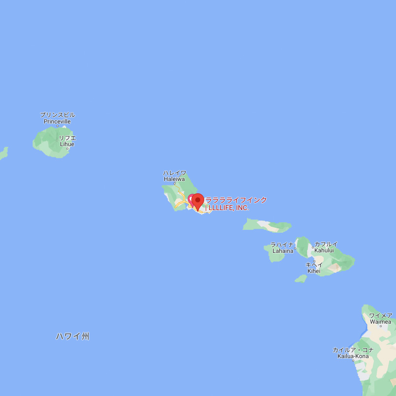 マジックマウス+Googleマップで激しくズームイン/アウトする対処法 マジックマウス+Googleマップで激しくズームイン/アウトする対処法