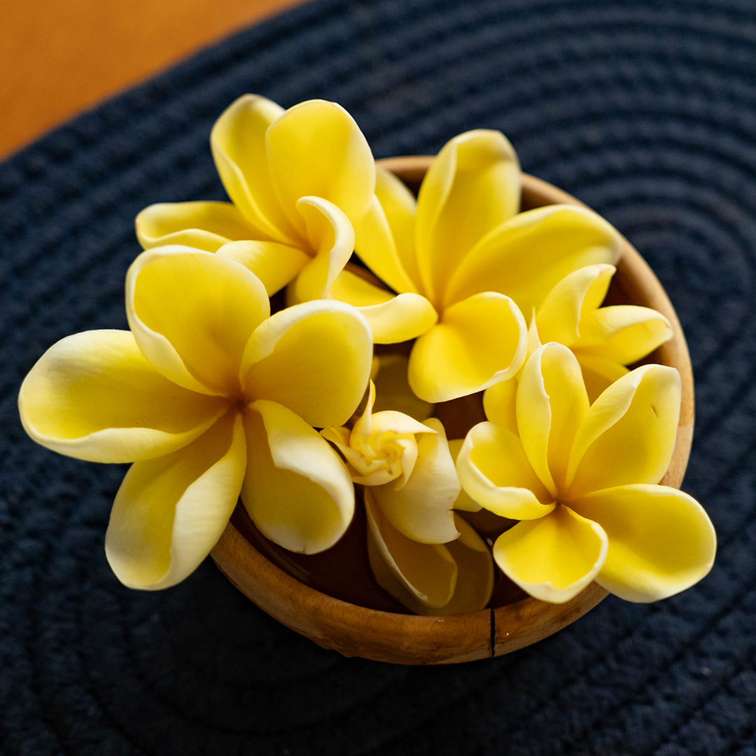 ストリートギフト