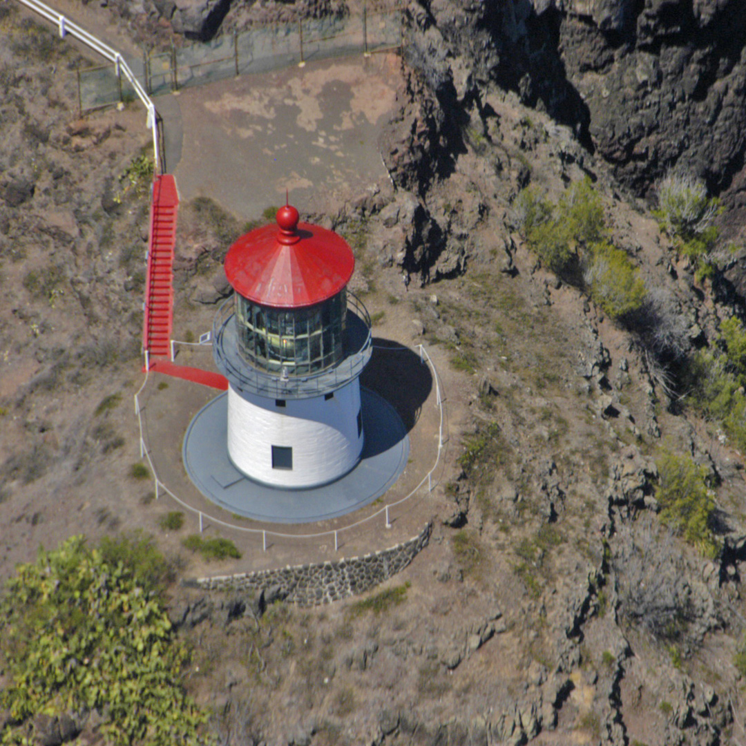 今日の一枚は空から。