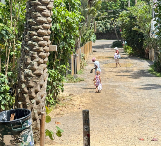 ノースっていいなぁ。