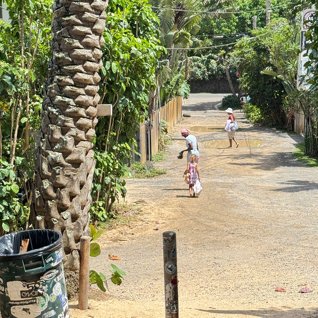 ノースっていいなぁ。