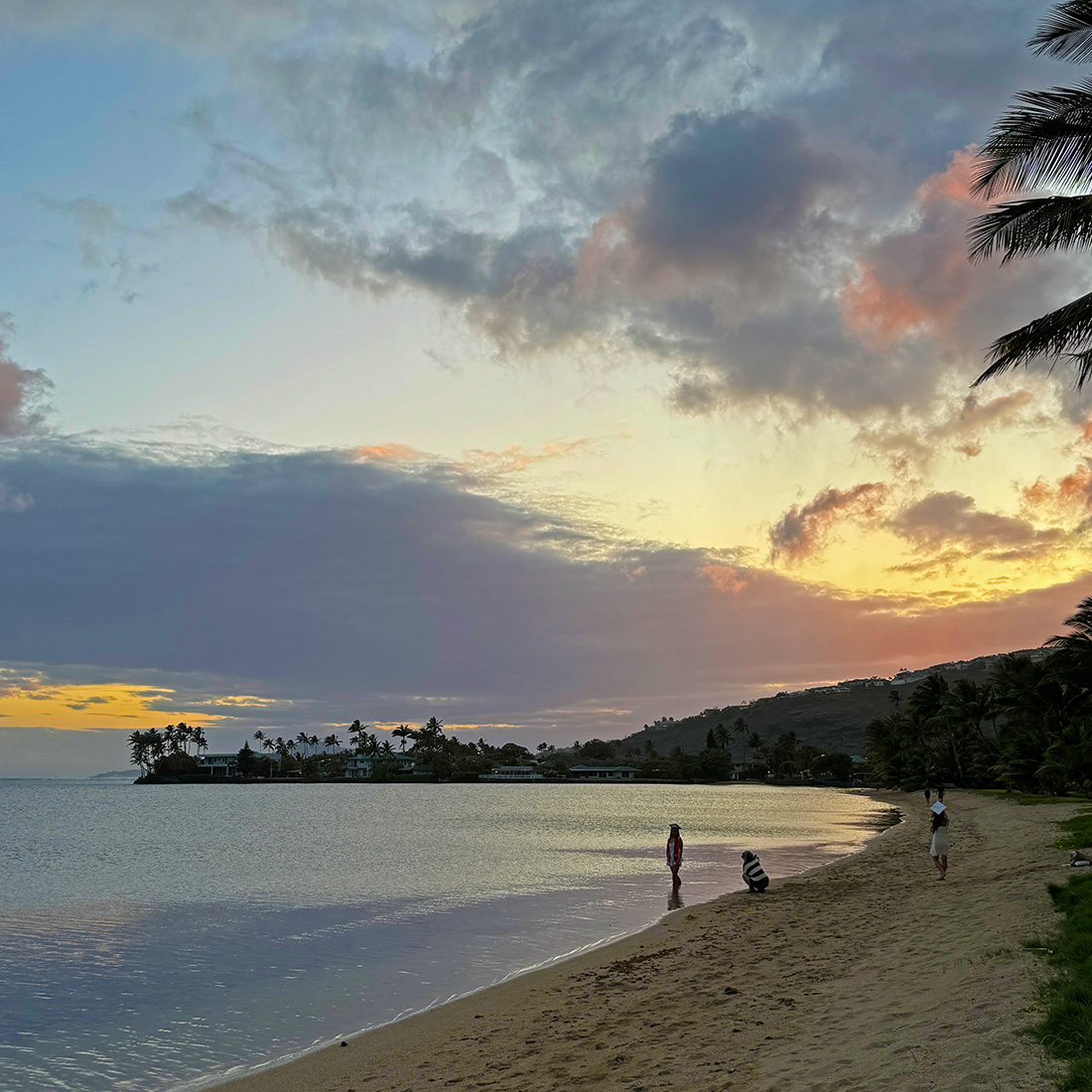 ハワイに住んでいること。
