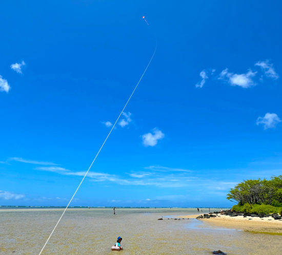 やっぱりハワイ。