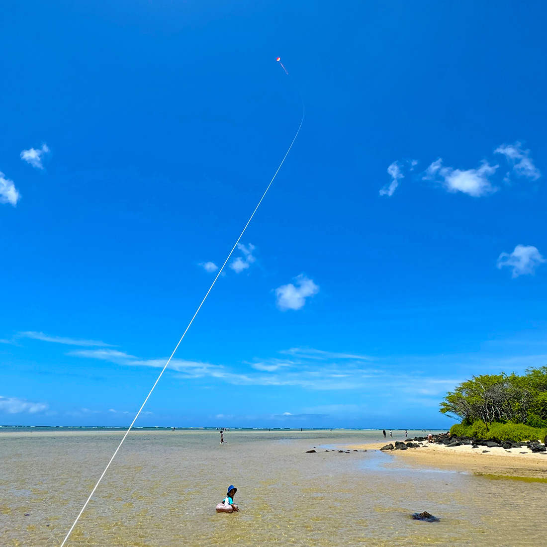 やっぱりハワイ。