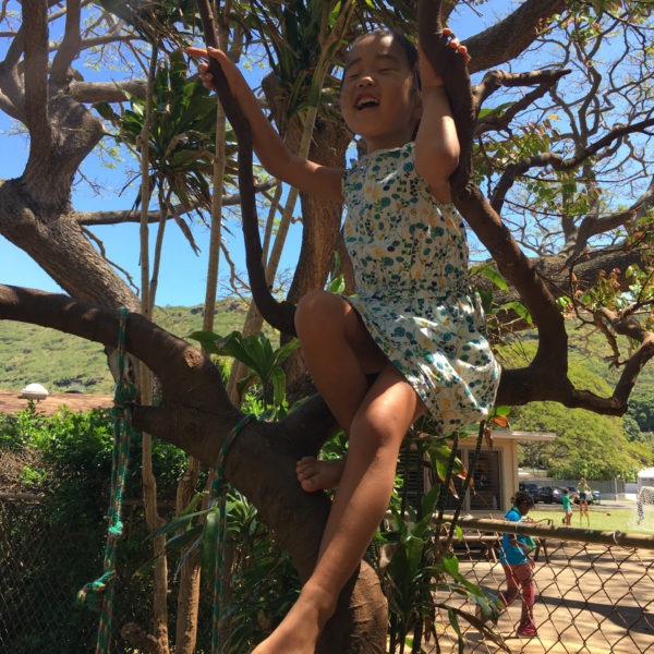 IMG_3516 ホノルル ウォルドルフ スクール | Honolulu Waldorf School