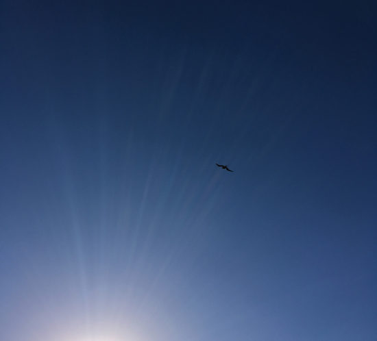 夏までもう少し。