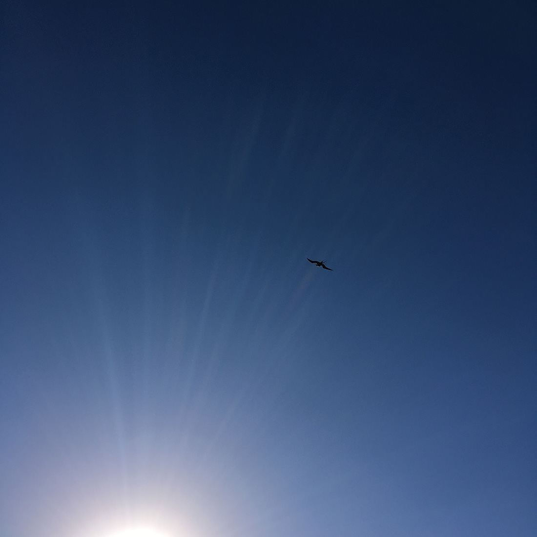 夏までもう少し。