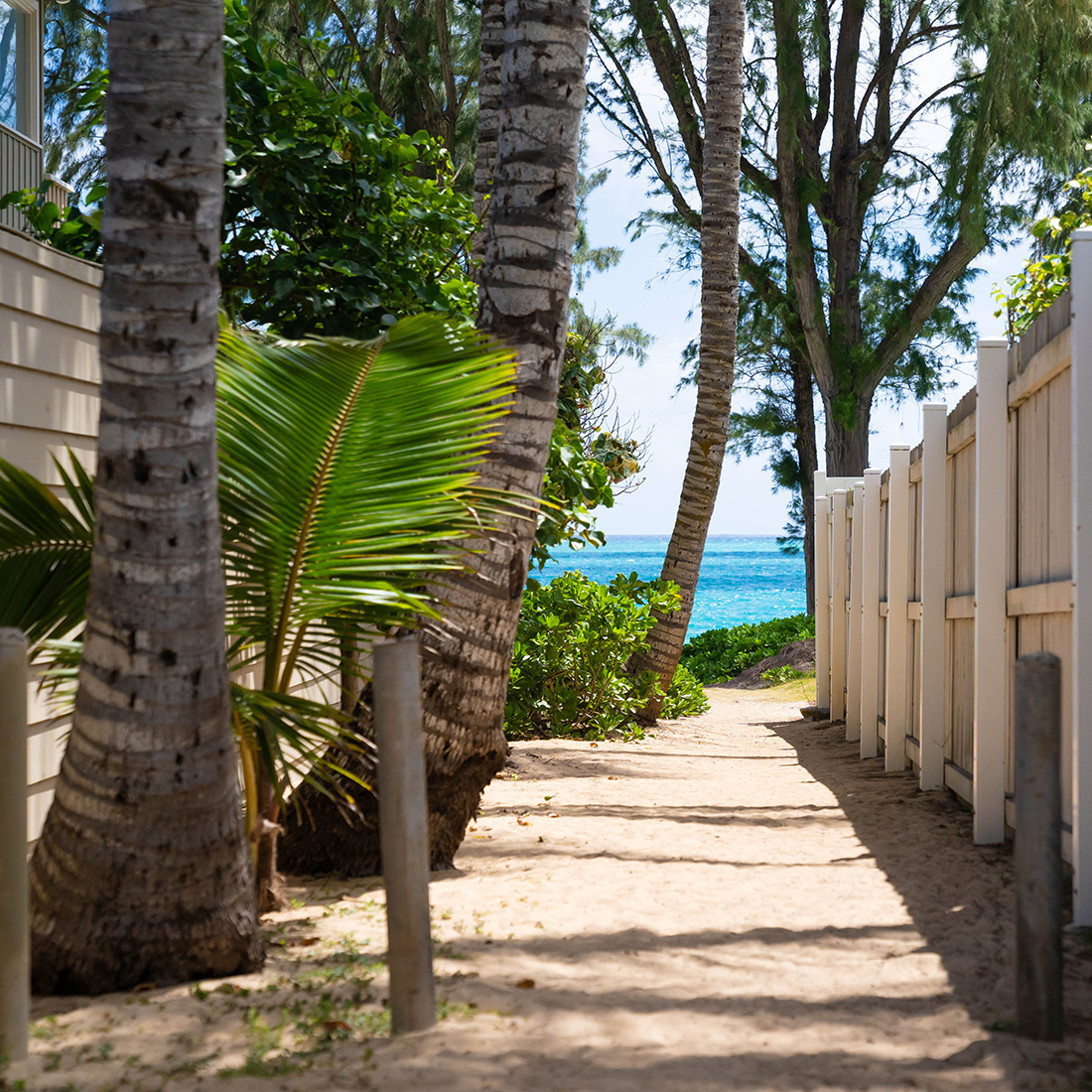 コロナ禍のワイマナロビーチ。