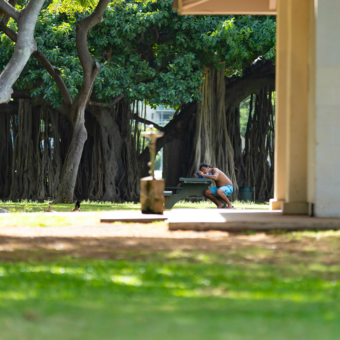 ズームレンズ。