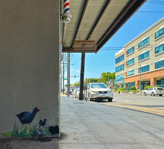 ひさしぶりにカイムキ。