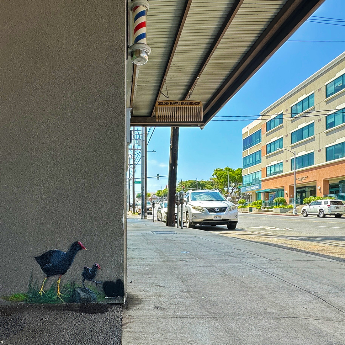 ひさしぶりにカイムキ。