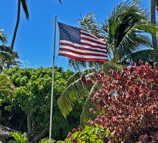 星条旗 | the Stars and Stripes