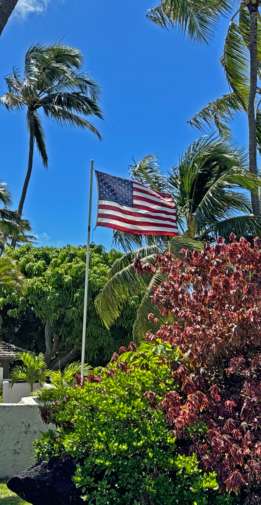 星条旗 | the Stars and Stripes