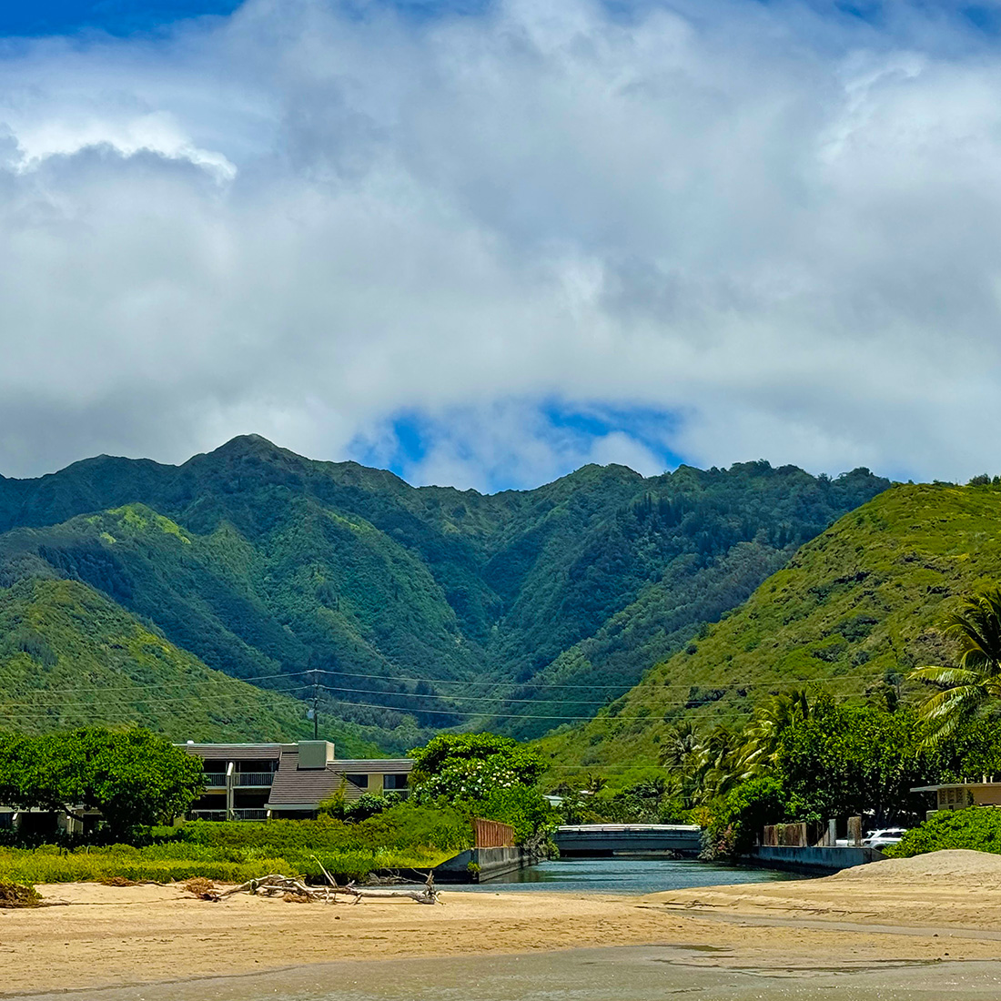 クリオウオウ | Kuliʻouʻou