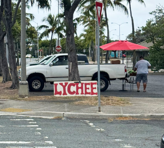 ずっと気になっていたこと。