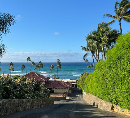 ブラックポイント。