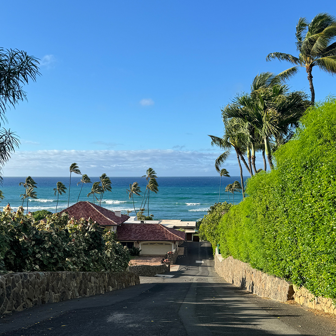 ブラックポイント。