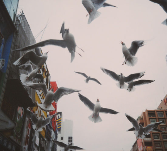 ロモグラフィー