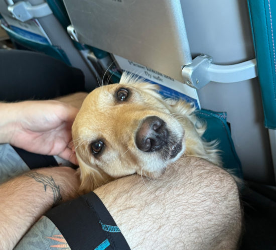 お隣にベッピンさん。