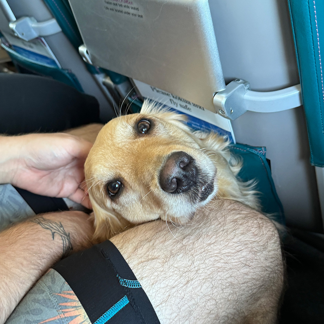 お隣にベッピンさん。