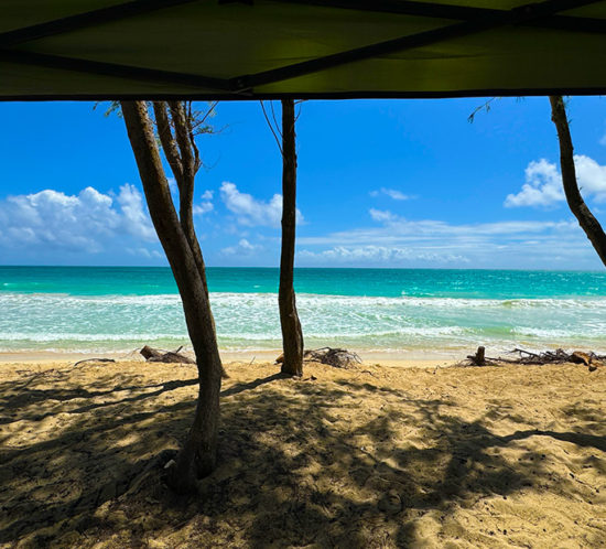 ワイマナロビーチ。