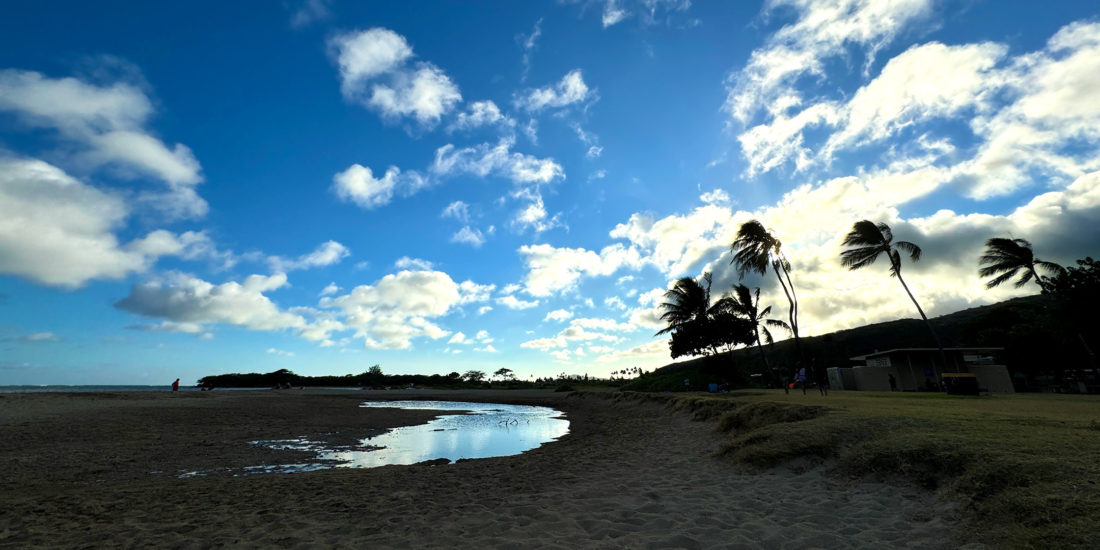 クリオウオウビーチ。
