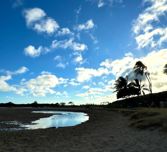 クリオウオウビーチ。