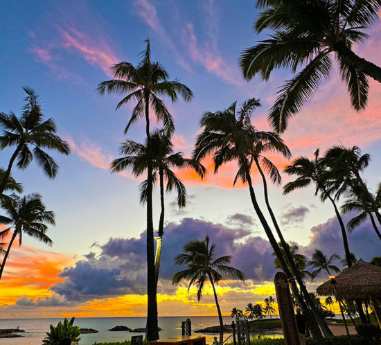 コオリナ最終日。