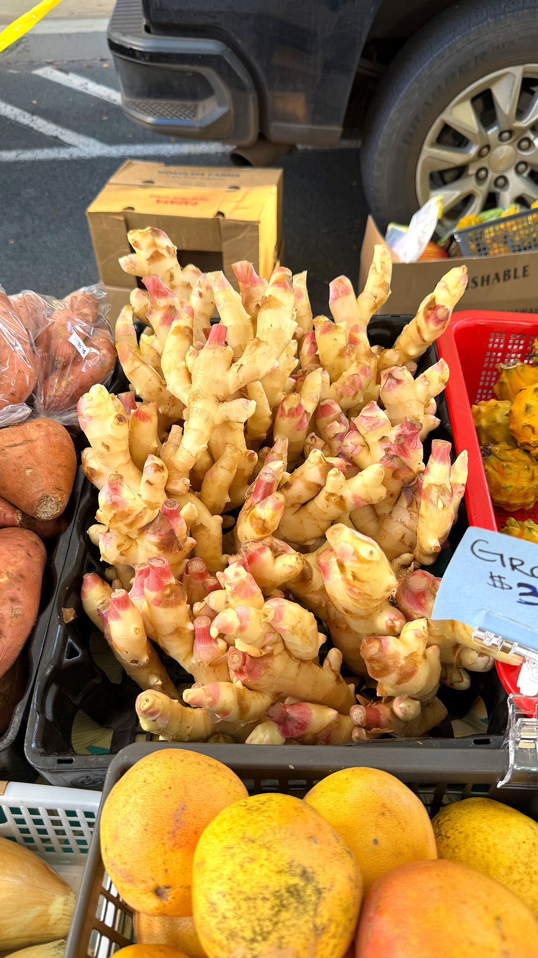 新生姜の季節。