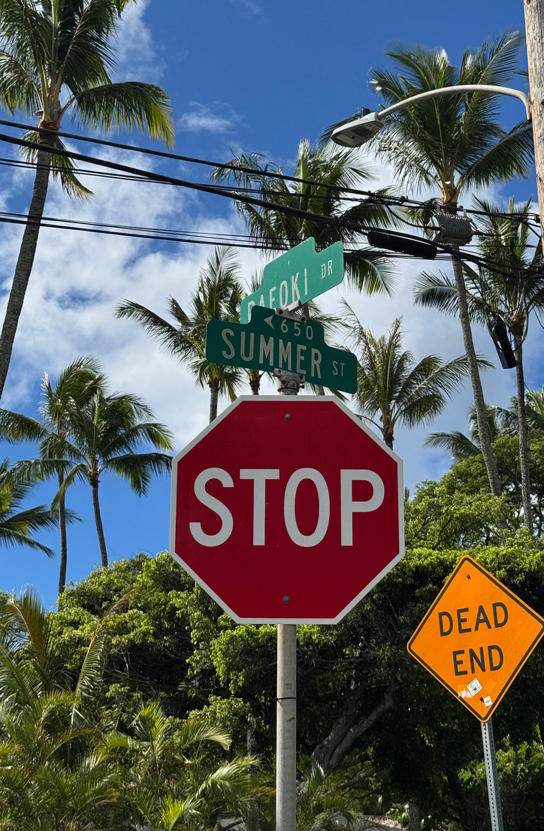 まだまだ続く夏。