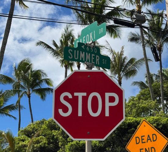 まだまだ続く夏。