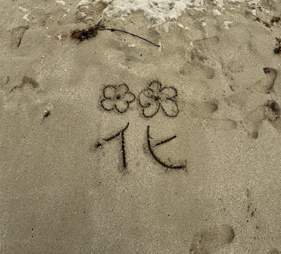 波打ち際にて。