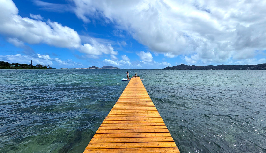 泳いで、飲んで、食べて、潜って、食べて、飲んで。