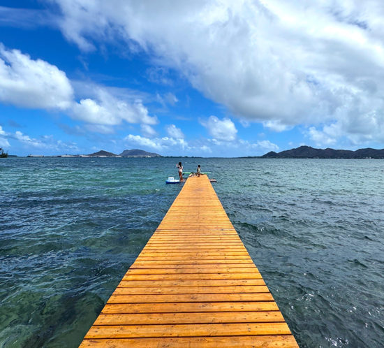 泳いで、飲んで、食べて、潜って、食べて、飲んで。