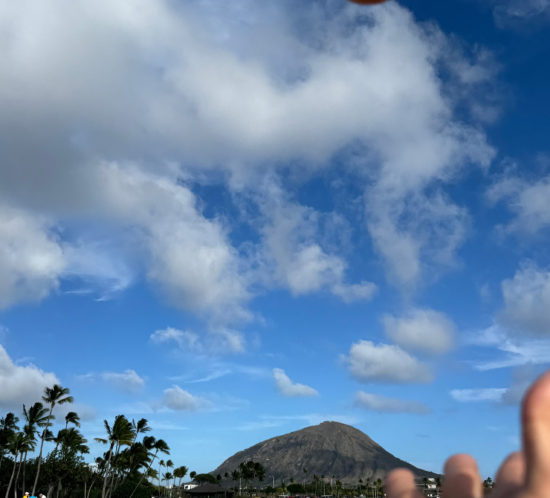 ふぞろいの林檎たち。