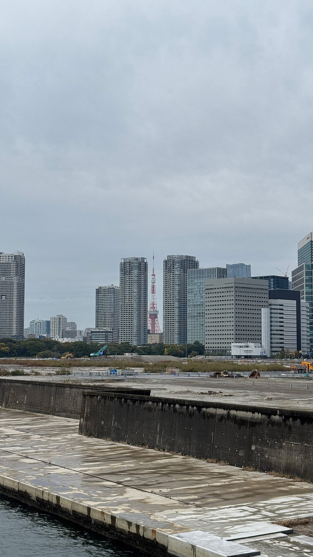 勝鬨橋から隅田川と築地市場。
