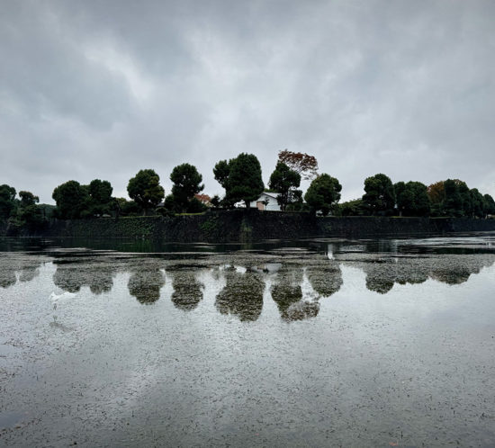 【写真満載】霧雨の皇居ラン。