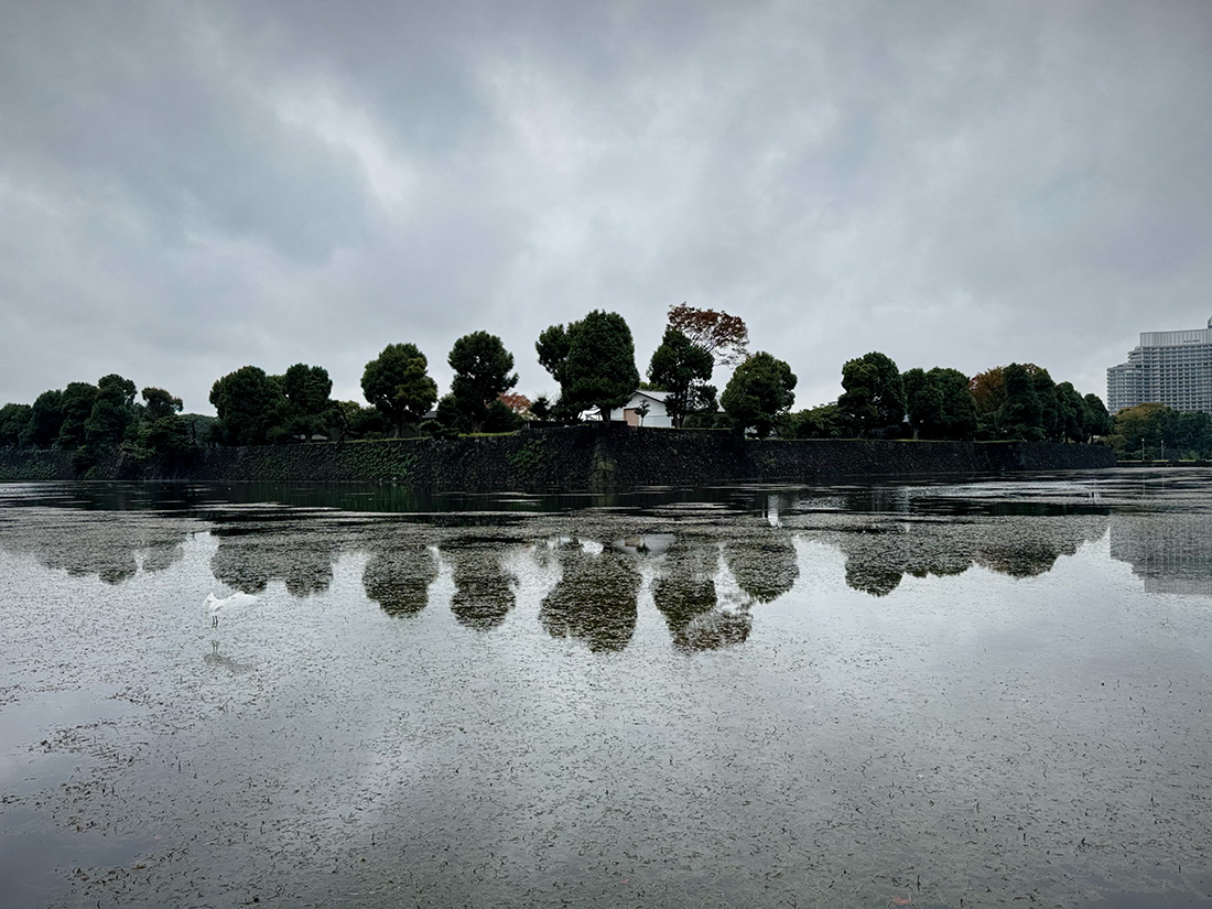 【写真満載】霧雨の皇居ラン。
