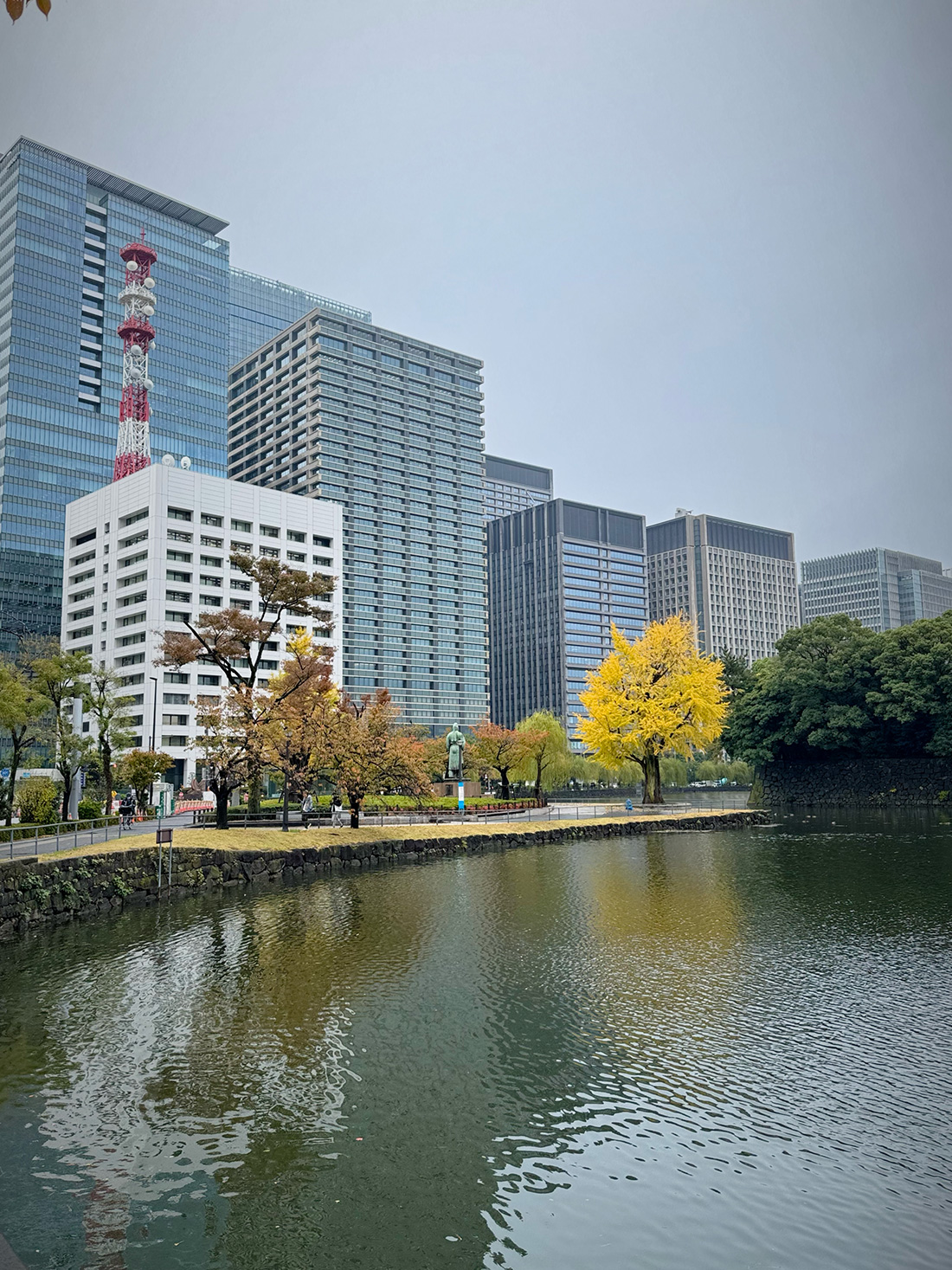 【写真満載】霧雨の皇居ラン。