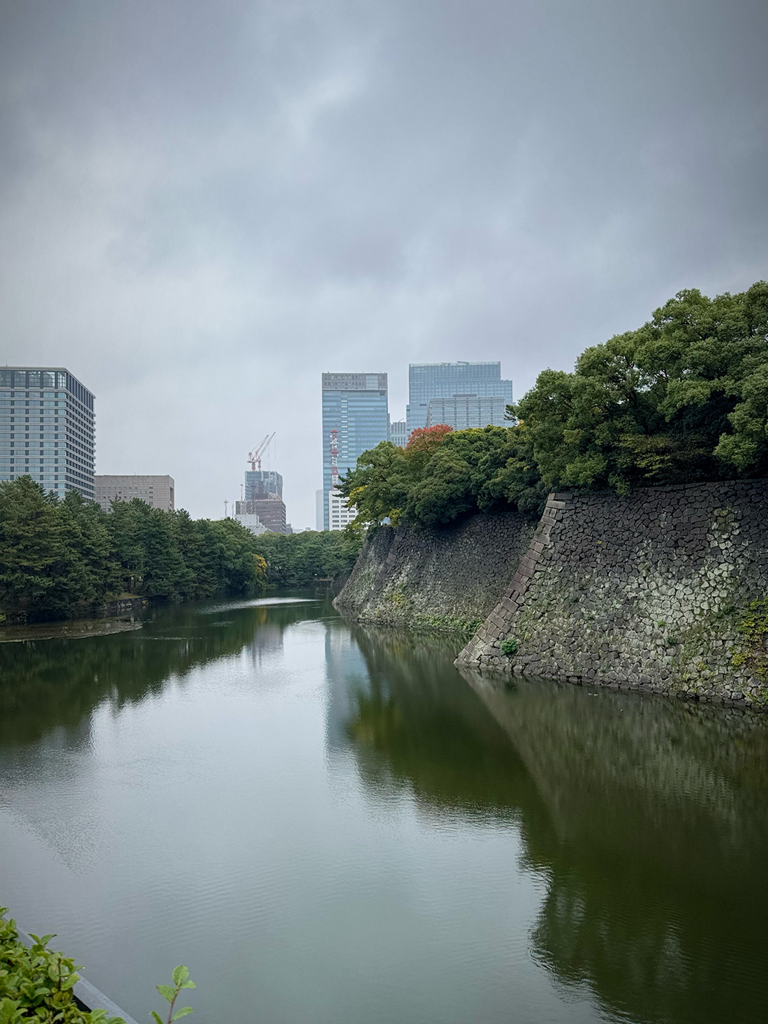 【写真満載】霧雨の皇居ラン。