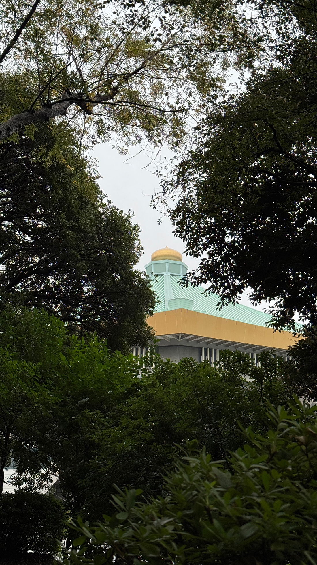 【写真満載】霧雨の皇居ラン。