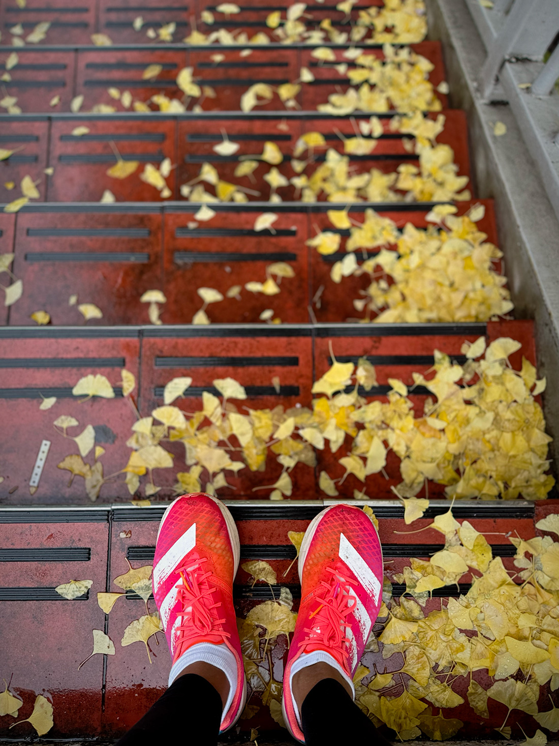 【写真満載】霧雨の皇居ラン。