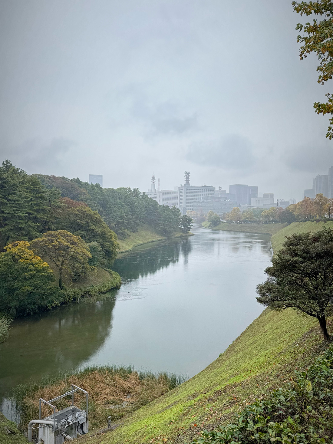 【写真満載】霧雨の皇居ラン。